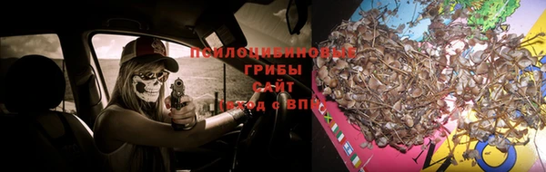 кокаин перу Ладушкин